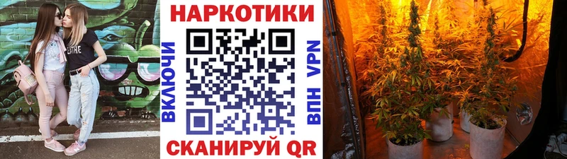Купить закладку Каннабис  Меф мяу мяу  Галлюциногенные грибы  Метадон  ГАШ  Кимры