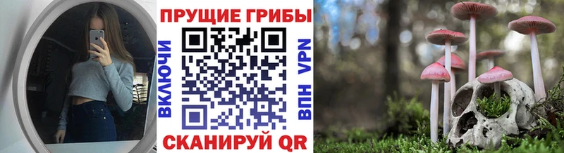 Галлюциногенные грибы мицелий  Купить где  Кимры 